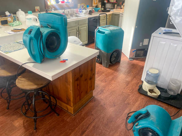 Professional Water damage restoration in Eldorado, TX