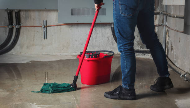 Best Professional water damage repair  in Eldorado, TX