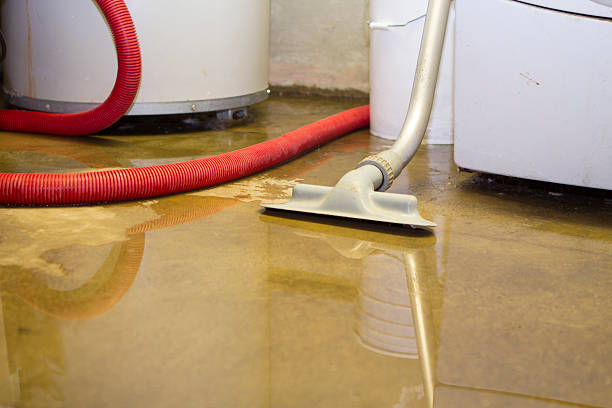 Best Basement water damage restoration  in Eldorado, TX