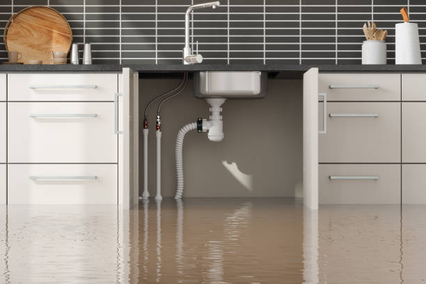Best Water damage cleanup near me  in Eldorado, TX