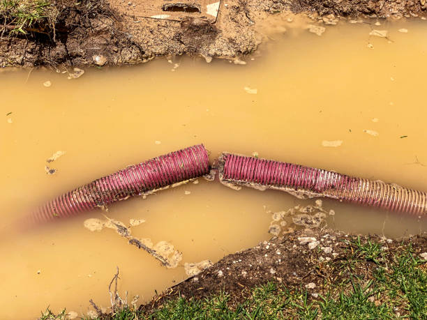 Best Flood restoration services  in Eldorado, TX